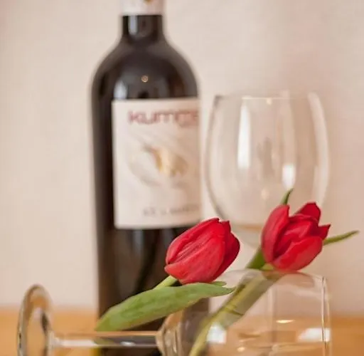 Pregenzer דירה פיס